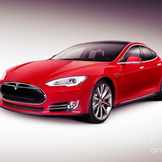 NEVER SHORT TESLA