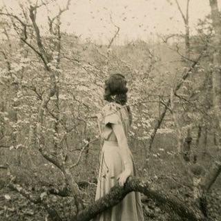 SMELL OF MOONLIGHT