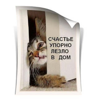 THE BEST HUMOR