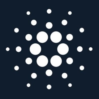 CARDANO PORTUGUÊS OFICIAL