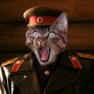 КОТ ГЕНЕРАЛА