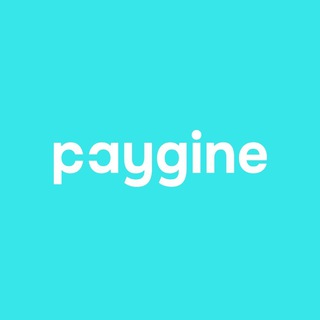 PAYGINE