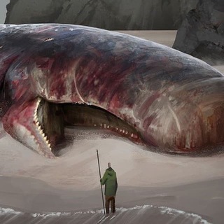 WHALE HUNTER