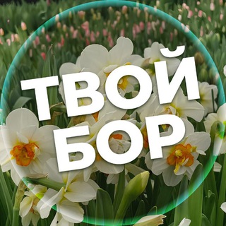 ТВОЙ БОР | TVOY-BOR.RU