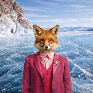 CANDY FOX | СКИДКИ В ИРКУТСКЕ