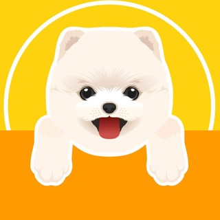 ШПИЦ •ПОМЕРАНСКИЙ •POMERANIAN