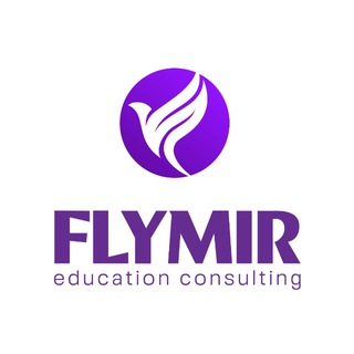 FLY MIR CONSULTING