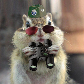 DED_BANZAY