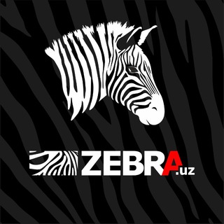 ZEBRA ЖАЛЮЗИ ЧАТ
