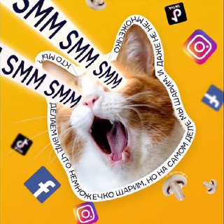 МАМА, Я SMMЩИК