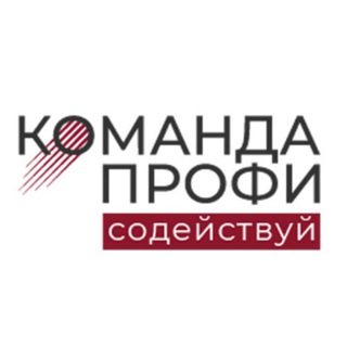 КОМАНДА ПРОФИ | СОДЕЙСТВУЙ