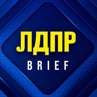 ЛДПР BRIEF