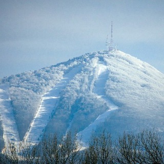 ARSGORA
