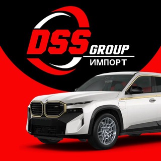 DSS GROUP ИМПОРТ