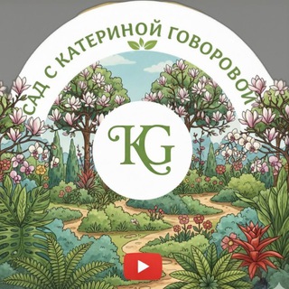 ГРУППА КАТЕРИНЫ ГОВОРОВОЙ