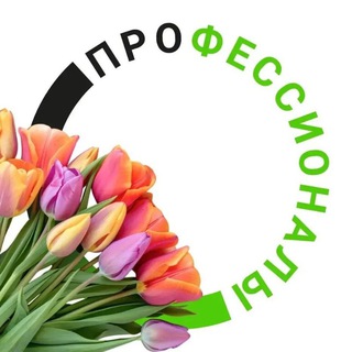 ПРОФЕССИОНАЛЫ
