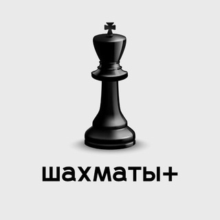 ШАХМАТЫ +