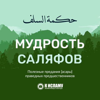 МУДРОСТЬ САЛЯФОВ