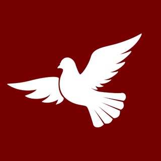 НАРОДНАЯДИПЛОМАТИЯ.РФ