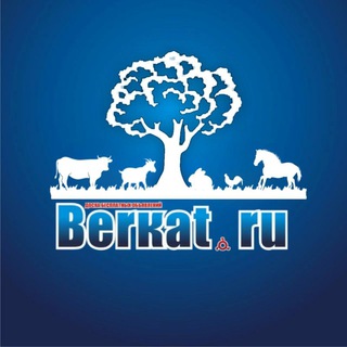 БЕРКАТ СЕЛО ЧАТ