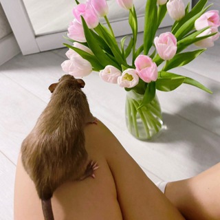 IRISHKA.MIMI