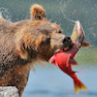 LIKHO.RU