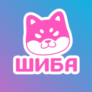 — SHIBA’S BLOG —