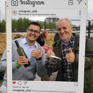 VINOGRAD_ULSK
