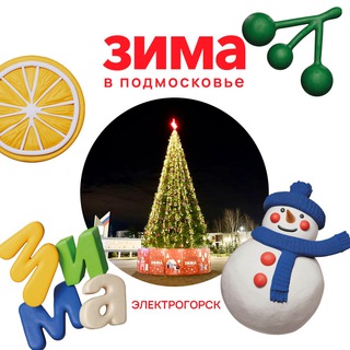 ГОРОД ЭЛЕКТРОГОРСК ПАВЛОВО-ПОСАДСКОГО Г. О.