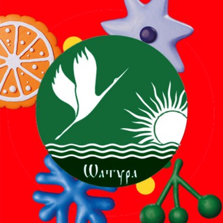 АДМИНИСТРАЦИЯ ГОРОДСКОГО ОКРУГА ШАТУРА