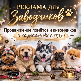 МИР СОБАК OFFICIAL