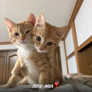 LUV.CRUSHH