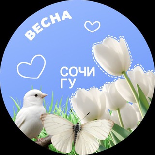 СГУ СОЧИ | SSU SOCHI