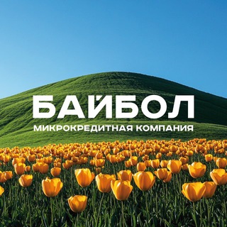 МКК БАЙБОЛ | ЗАЙМЫ ДЛЯ СВОИХ