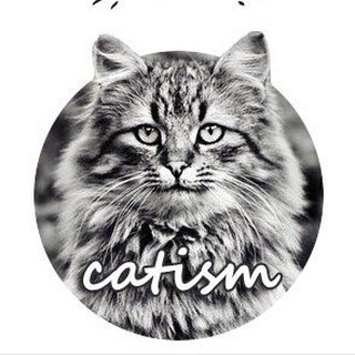КОТИЗМ