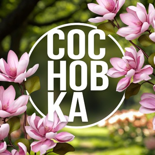 ШКОЛА СОСНОВКА