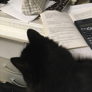 ФИЗИКА И КОТИКИ