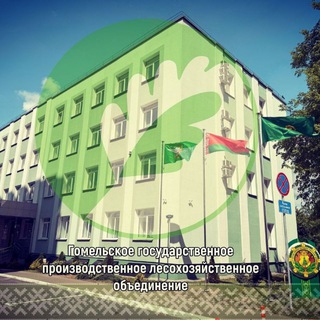 ЛЕСОВОДЫ ГОМЕЛЬЩИНЫ