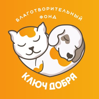 ПРИЮТ СПАСЁННЫХ 