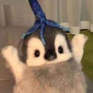 КИТИКЕТ