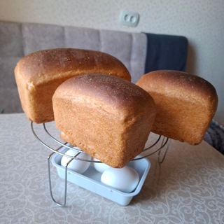 Я С ВАМИ