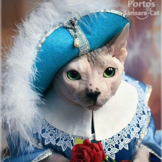 PORTOS.SANSARA.CAT