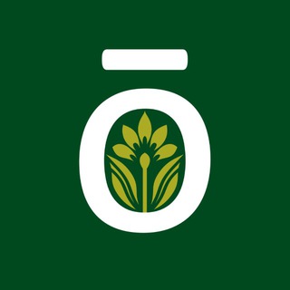 ЭФИРНЫЕ МАСЛА DOTERRA ЕВРАЗИЯ
