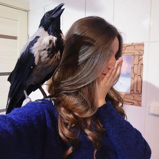 JULIA ORNITOLOG | ЛЕЧЕНИЕ ПТИЦ