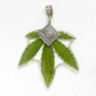 BOTANICA_STYLE