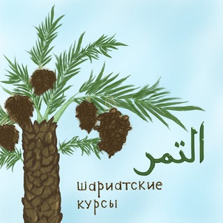 АТ—ТАМР: ШАРИАТСКИЕ КУРСЫ