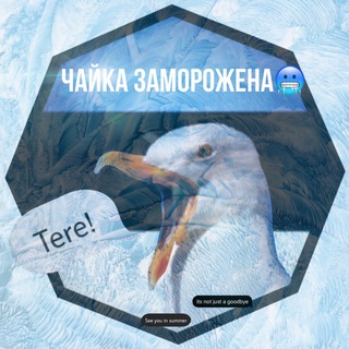 ЧАЙКА ИЗ ТАЛЛИНА