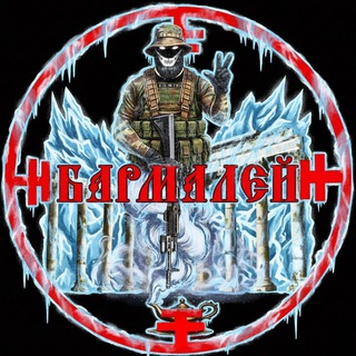 БАРМАЛЕЙ #СНАРЯДЫ/ГОС.НАГРАДЫ_ВАГНЕРУ