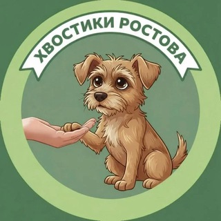 ДОМ ДЛЯ ХВОСТИКОВ РОСТОВА