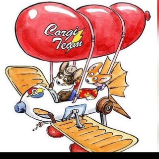 CORGI TEAM
